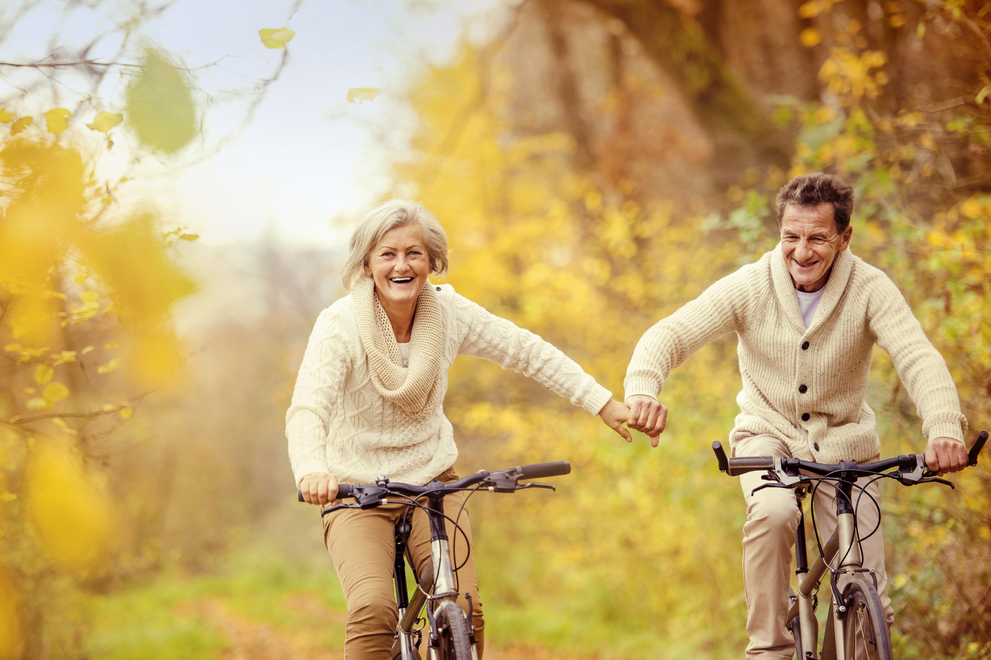 Happy older couple riding bicycles and holding hands down leafy lane.
