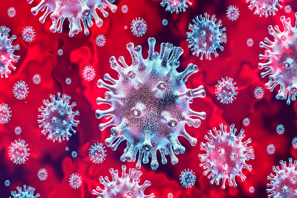 Image of the coronavirus