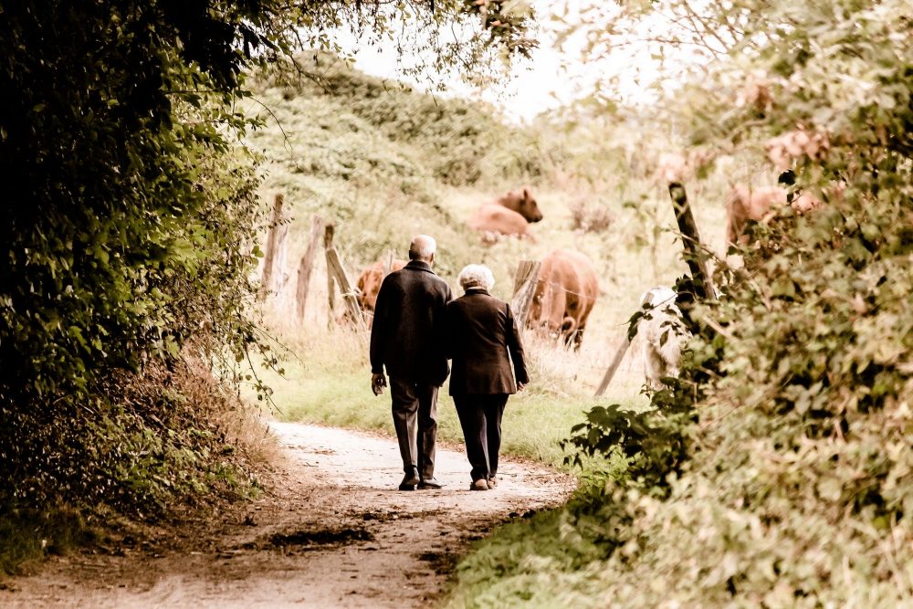 Rear view of a pensioner couple walking on a woodland path.