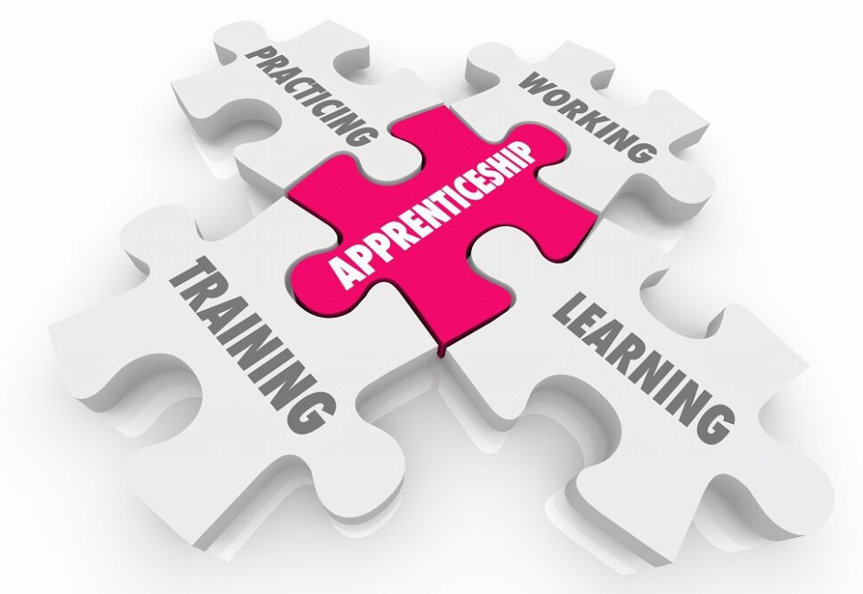 Image shows 5 piece puzzle with apprenticeship in the centre and the words training, learning, practicing, working surrounding it.