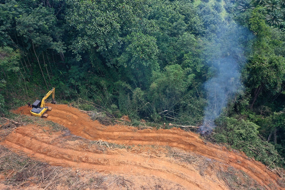 Aerial view of deforestation taking place in a rain forest.