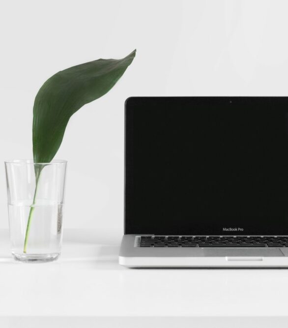 Leaf in a glass of water next to a laptop