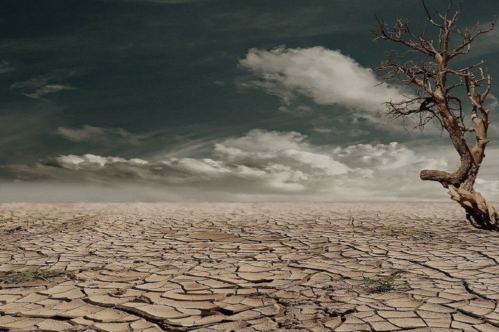 Cracked, parched earth underneath a blue sky with a few clouds. To the left of the picture is a twisted, dead tree.