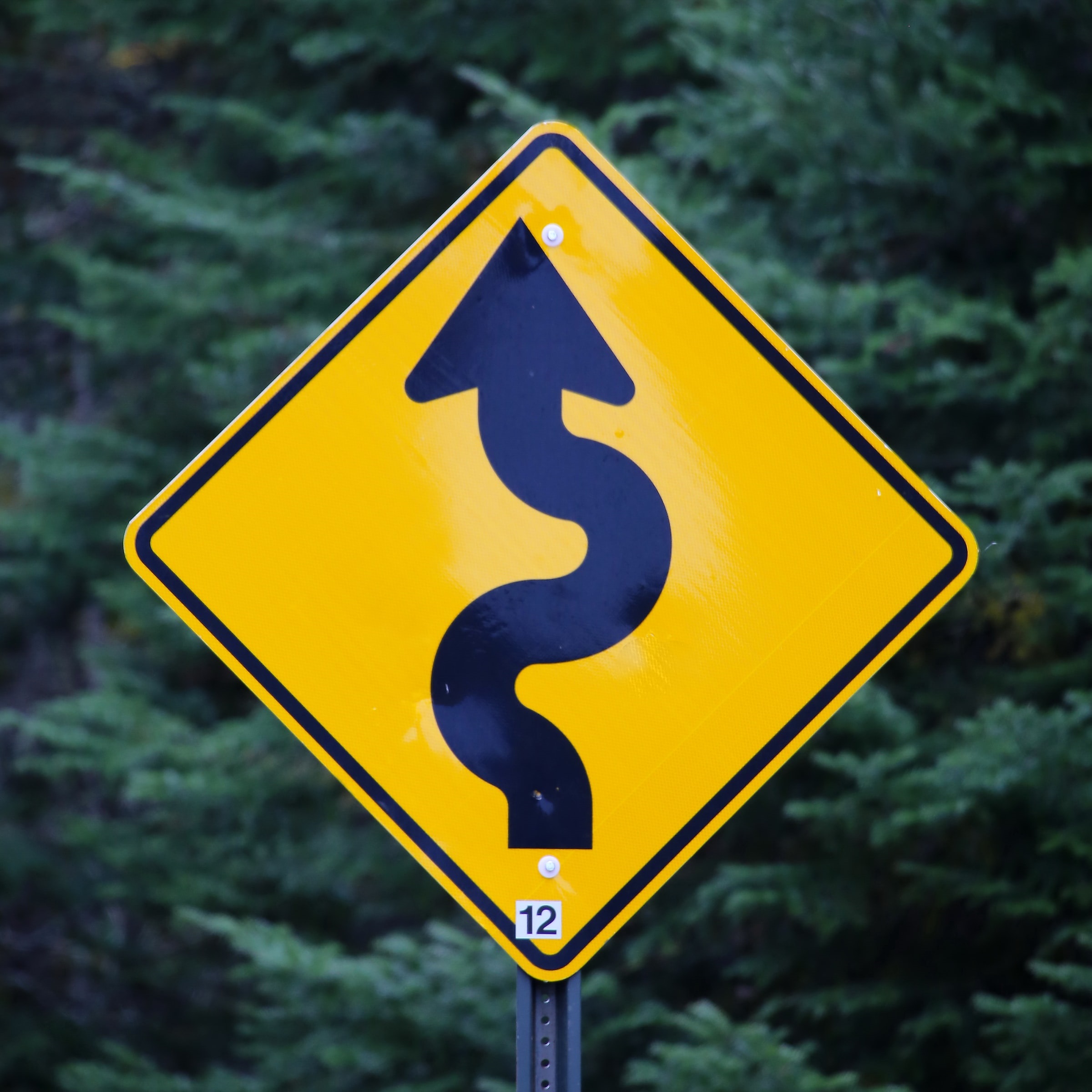 Diamond shaped road sign on which there is a black wavy arrow on a yellow background. The sign is situated in front of green trees.