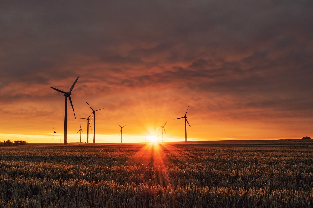 Wind turbines in a field with the setting sun just visible on the horizon beyond a cloudy sky.