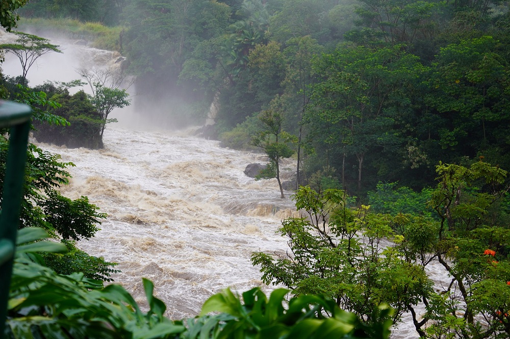 Flood waters rush down valley and over burst banks. Each side of the river there are green tall trees.