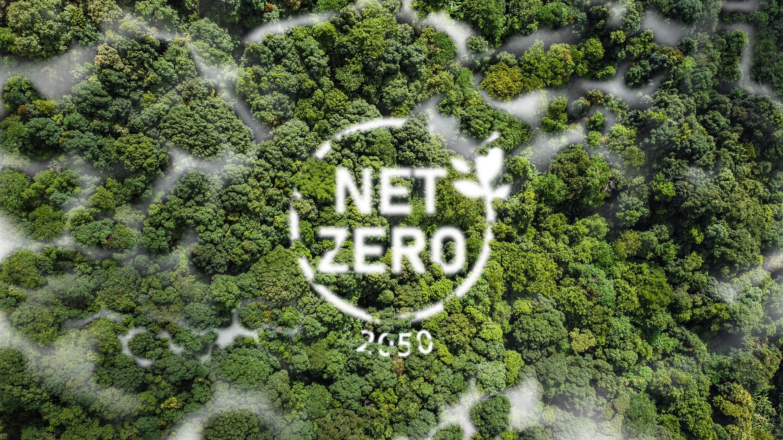 Aerial view of a woodland and in the centre are the words 'Net Zero 2050'.