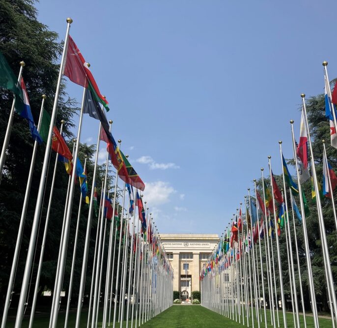 Long avenue of flagpoles and colourful national flags on a smooth green lawn. At the end of the flapoles is a large cream coloured building with a pillar either side of the door.