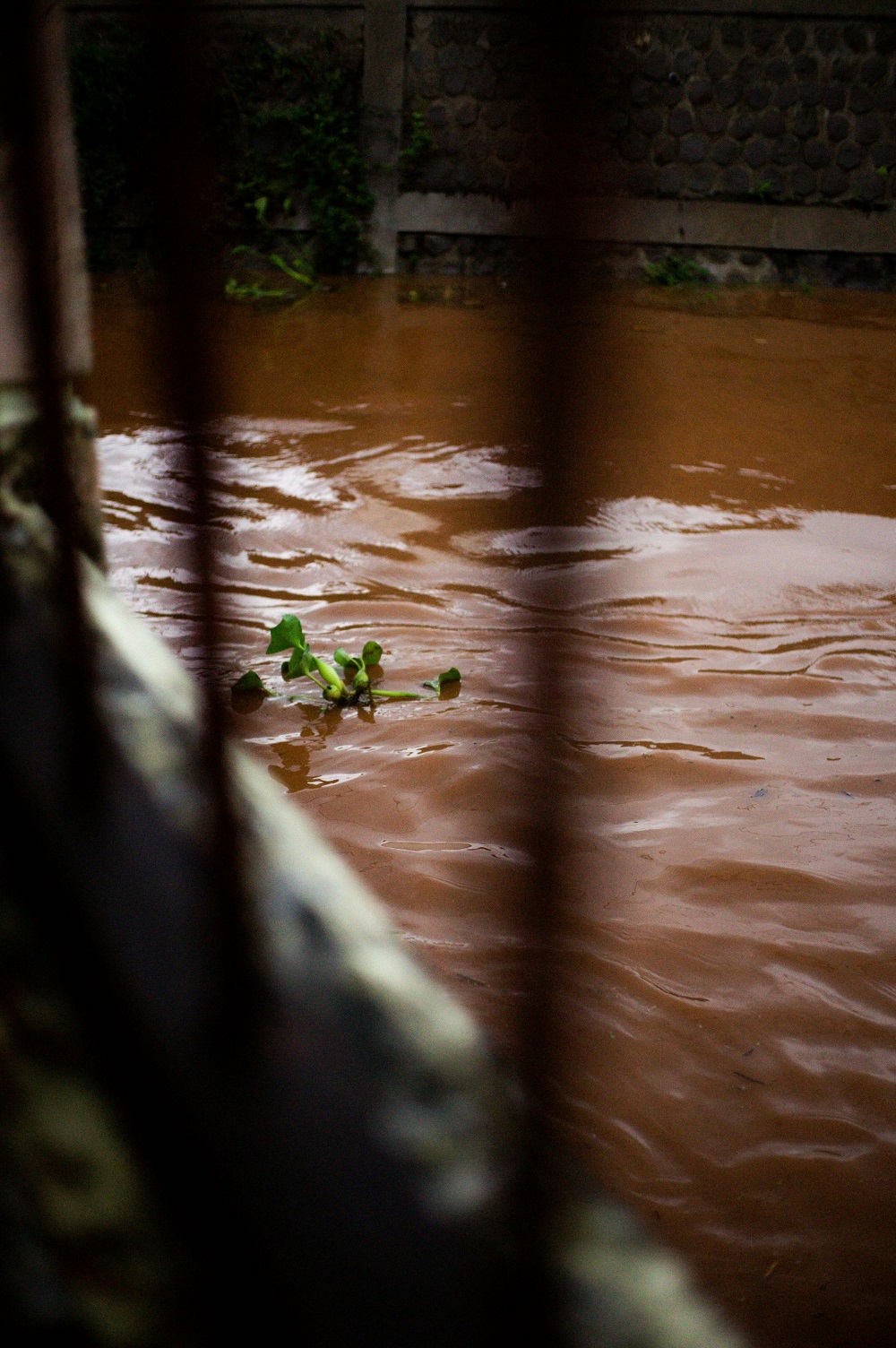 Brown flood water is pictured through window bars, as it flows near a wall.