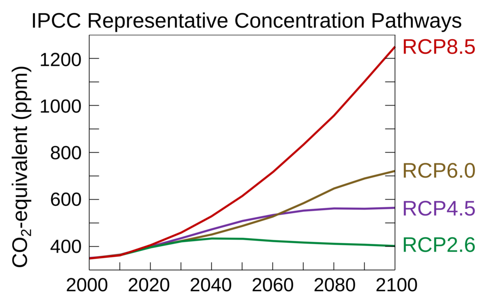 Graph depicting different Representative Concentration Pathways (RCPs) are associated with different trajectories of greenhouse gas concentrations in the atmosphere. Credit: Wikipedia