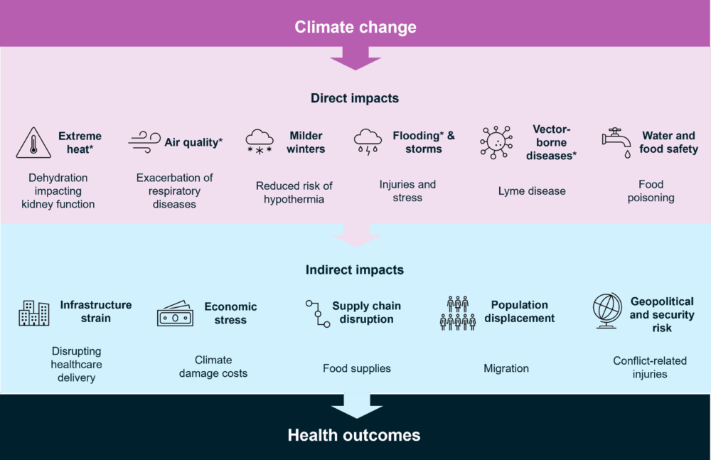 Table which illustrates direct and indirect impacts of climate change.